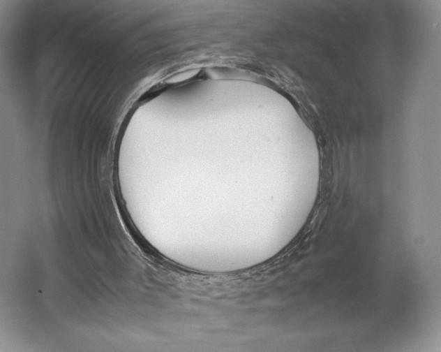 X0000064040003200602171656