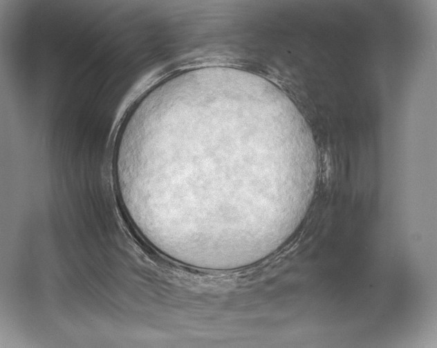 X0000064040004200602171656