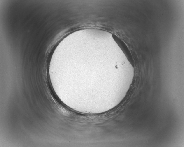 X0000064040005200602171656