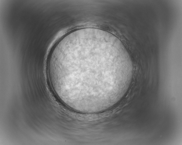 X0000064040006200602171656