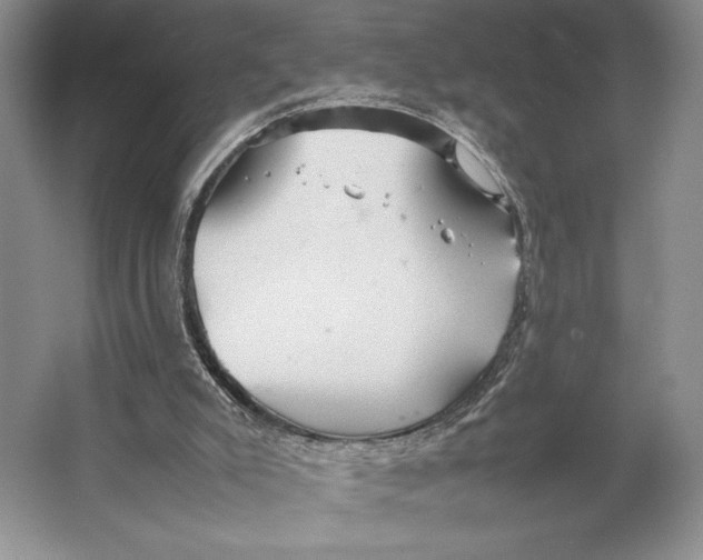 X0000064040007200602171656