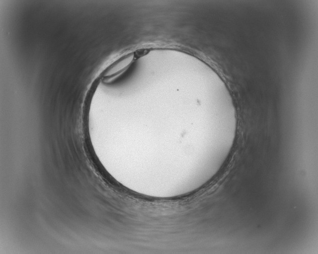 X0000064040008200602171656