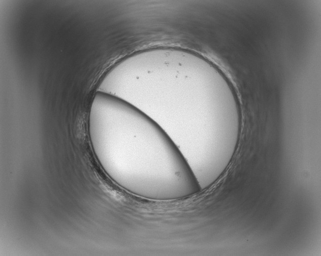 X0000064040009200602171656