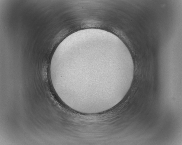 X0000064040010200602171656