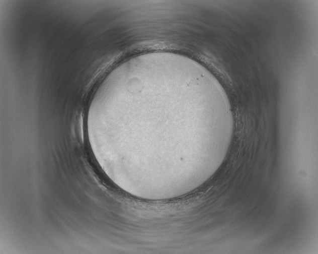 X0000064040014200602171656