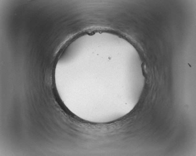 X0000064040015200602171656