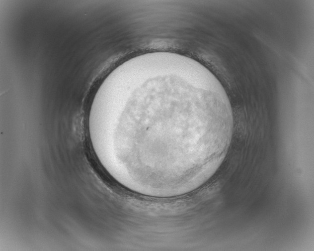 X0000064040016200602171656