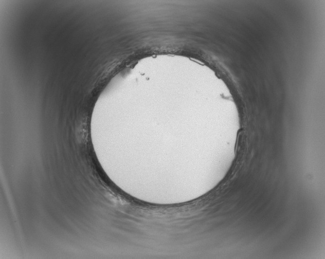 X0000064040017200602171656