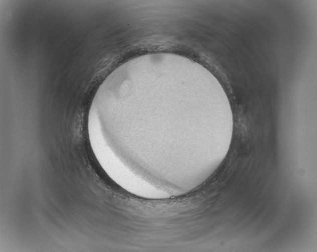 X0000064040018200602171656