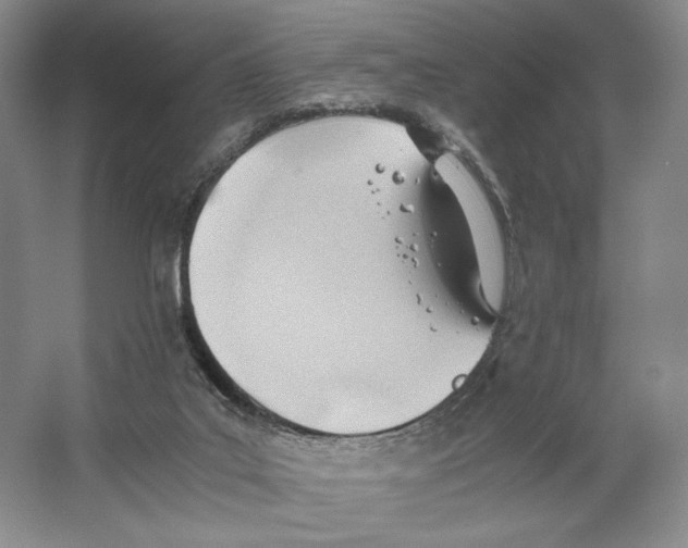 X0000064040019200602171656