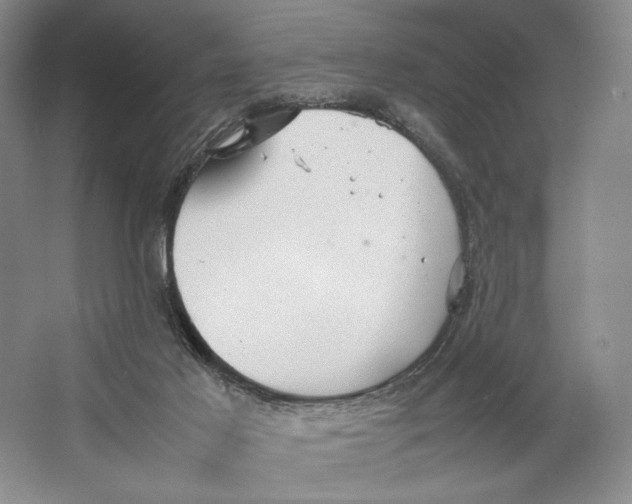 X0000064040021200602171656