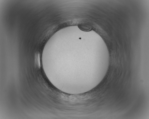 X0000064040022200602171656