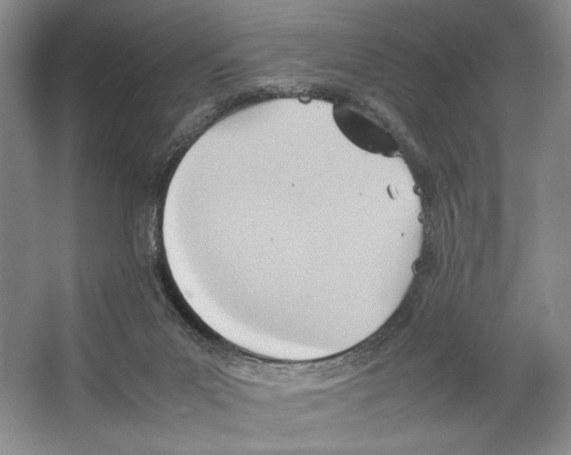 X0000064040023200602171656