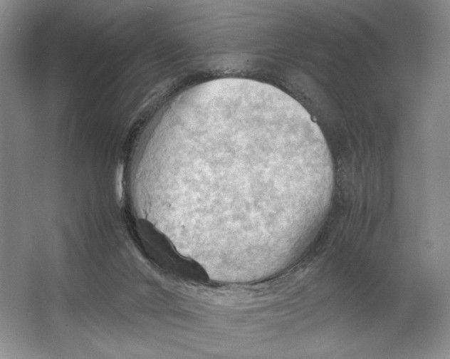 X0000064040024200602171656