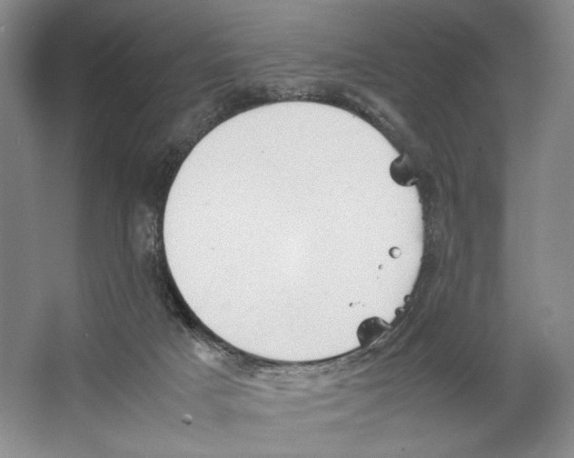 X0000064040025200602171656