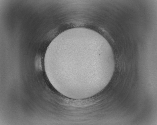 X0000064040026200602171656