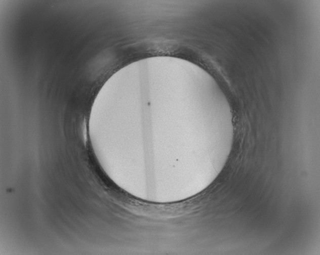 X0000064040027200602171656