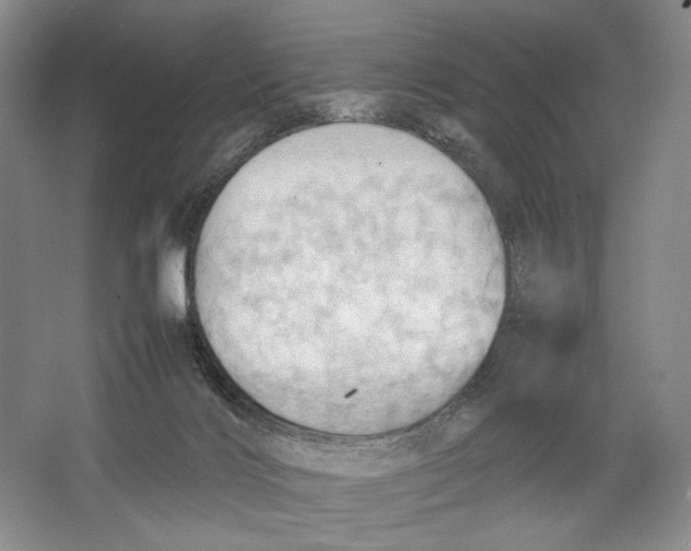 X0000064040028200602171656