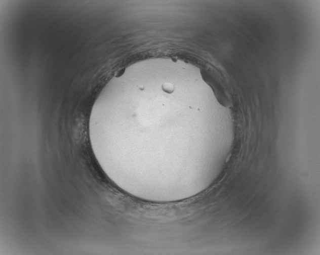 X0000064040029200602171656