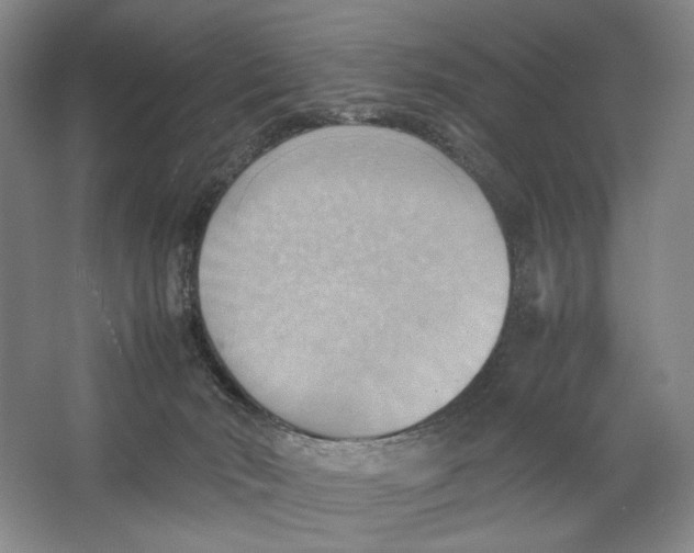 X0000064040030200602171656