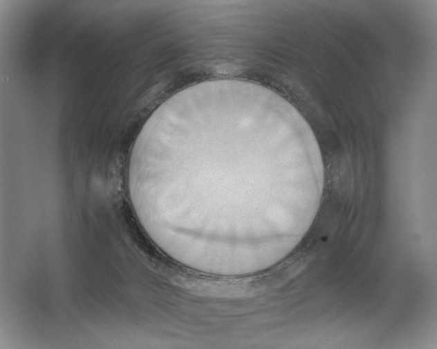 X0000064040032200602171656