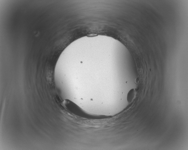 X0000064040033200602171656