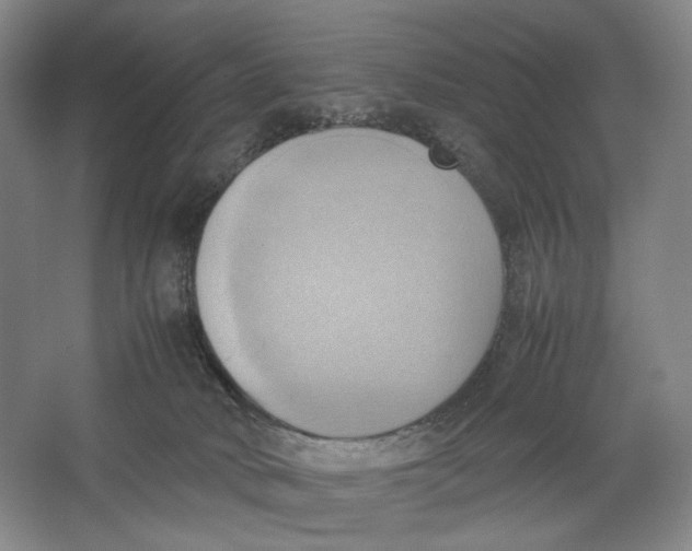 X0000064040034200602171656