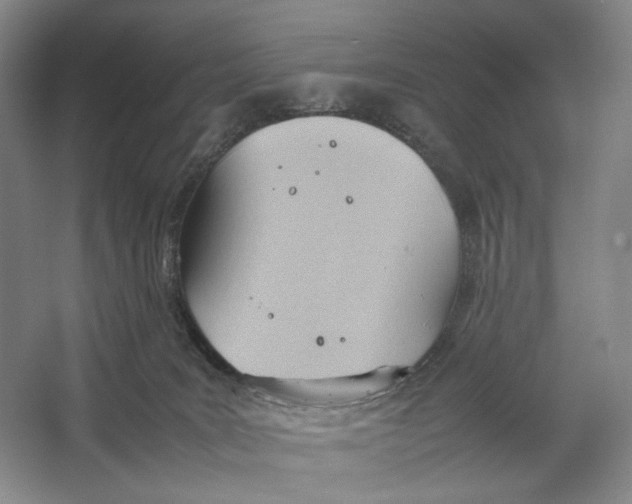 X0000064040035200602171656