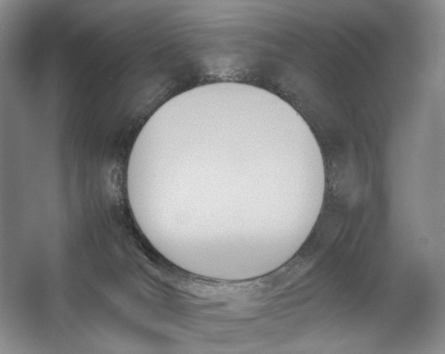 X0000064040036200602171656