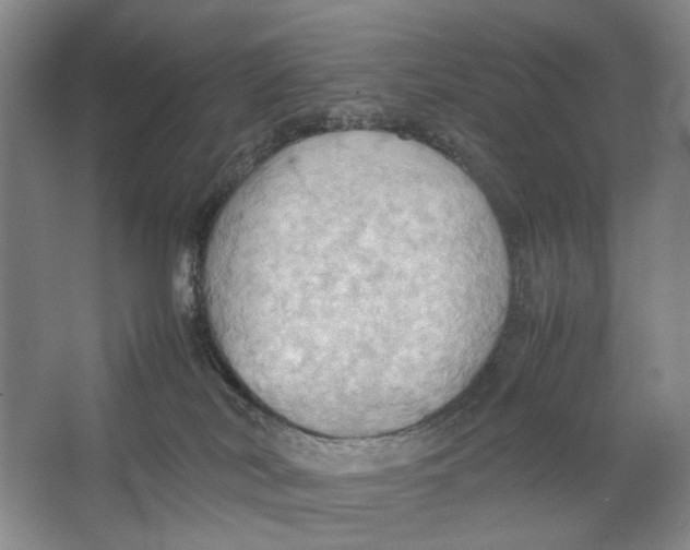 X0000064040038200602171656