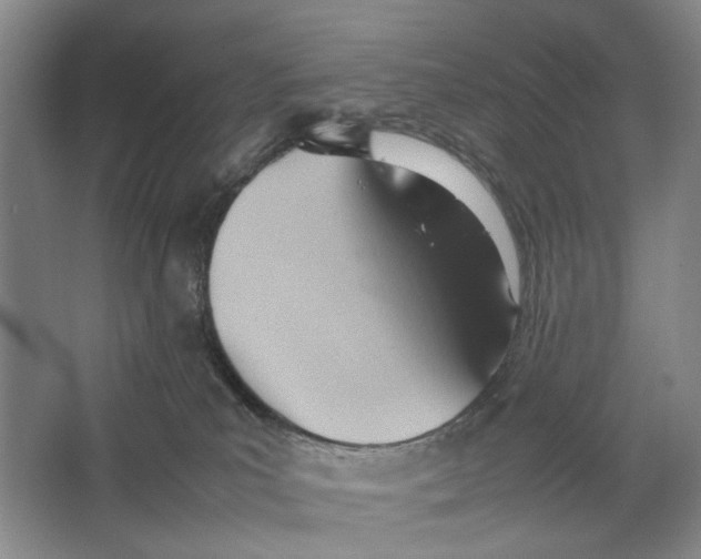 X0000064040039200602171656