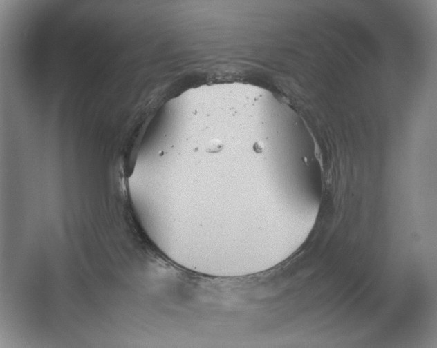 X0000064040041200602171656