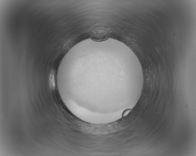 X0000064040042200602171656