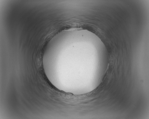 X0000064040043200602171656