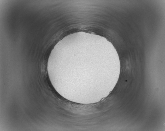 X0000064040044200602171656