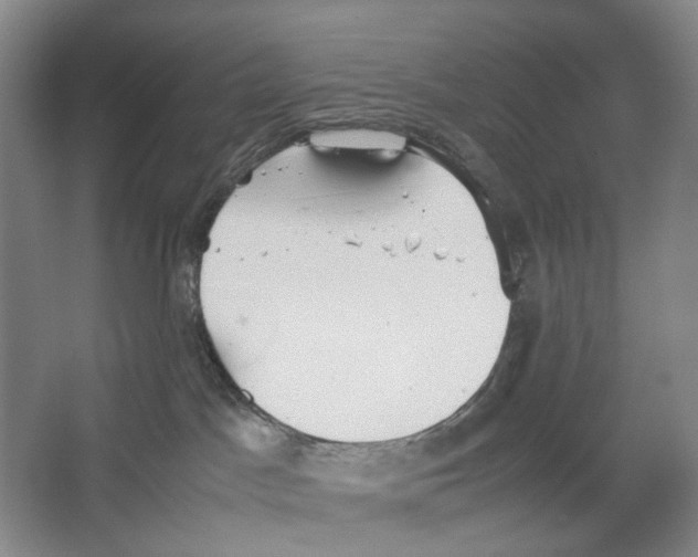 X0000064040045200602171656