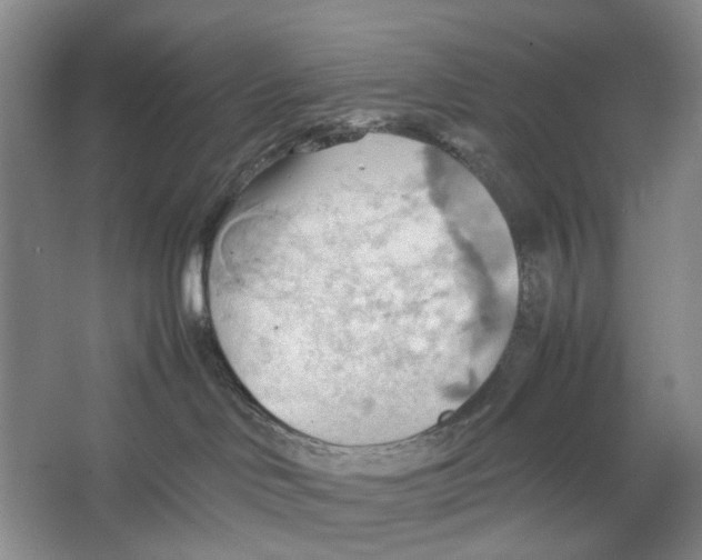 X0000064040046200602171656