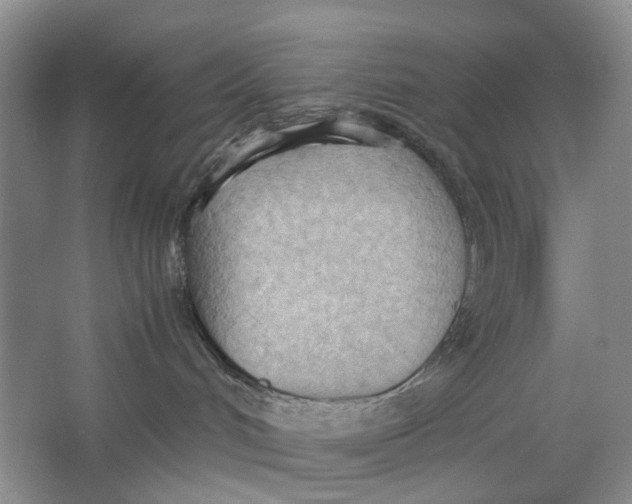 X0000064040048200602171656