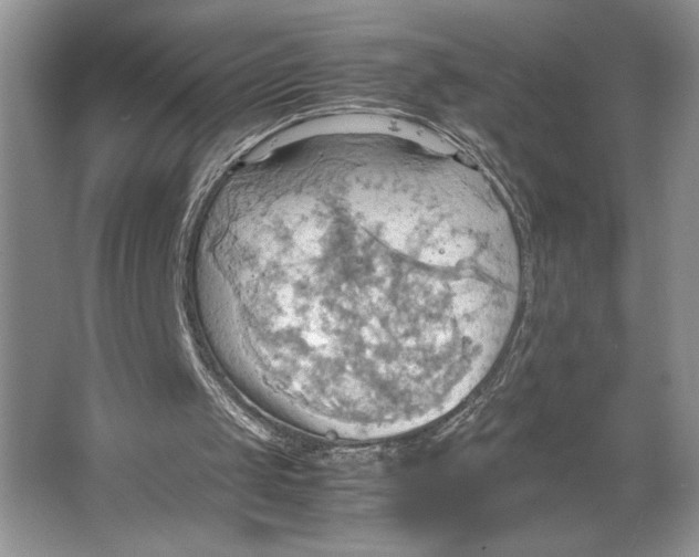 X0000064040049200602171655