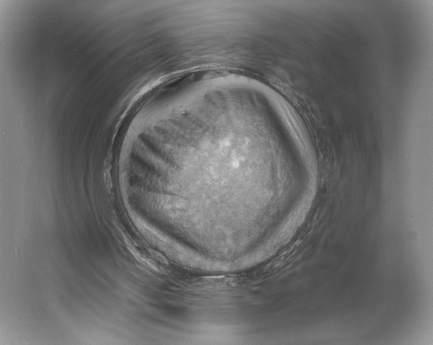 X0000064040050200602171655