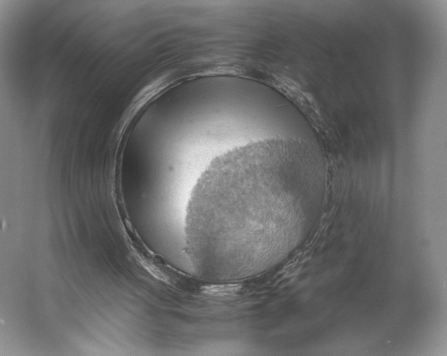 X0000064040051200602171655