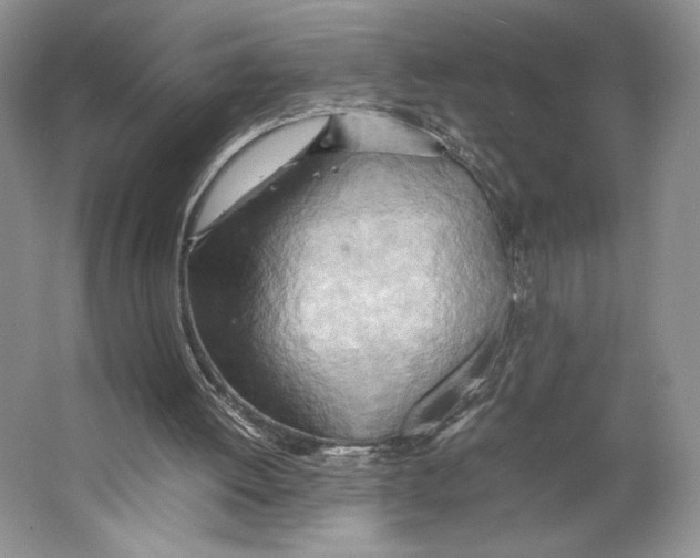 X0000064040052200602171655