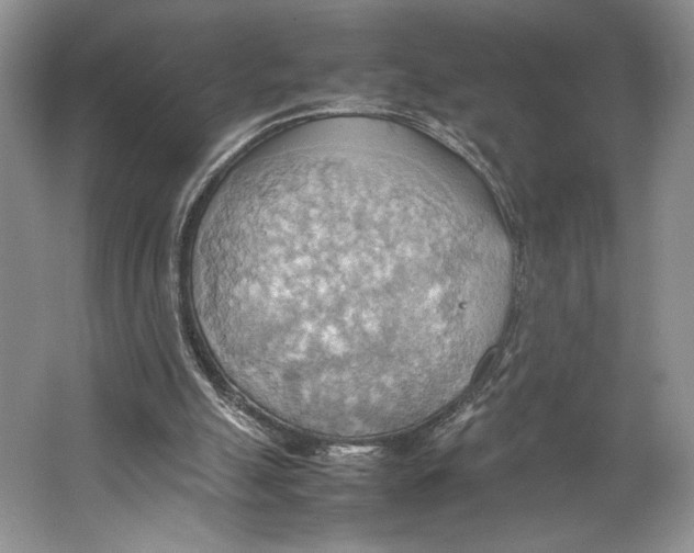 X0000064040055200602171655