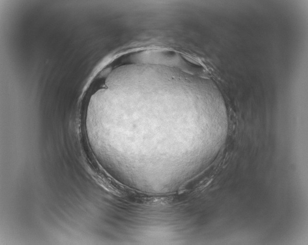 X0000064040056200602171655