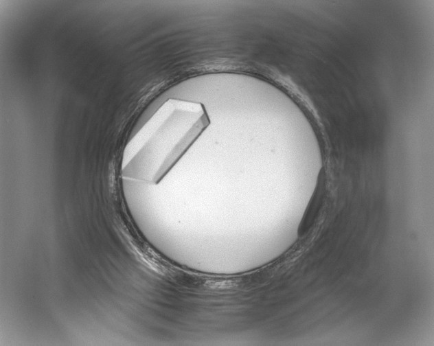 X0000064040057200602171655