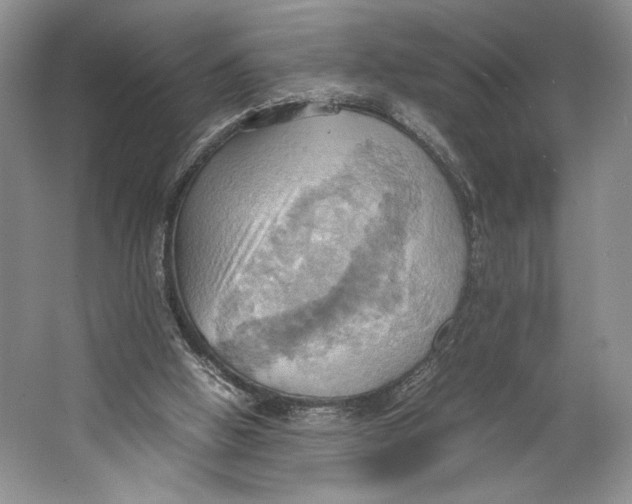 X0000064040058200602171655