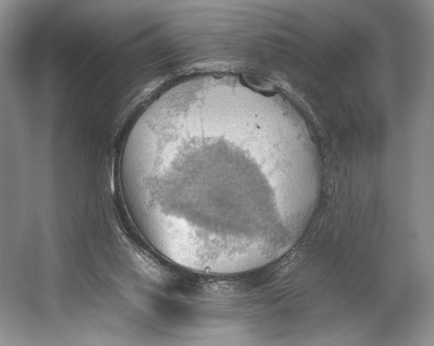 X0000064040062200602171655