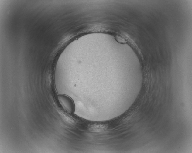 X0000064040063200602171655