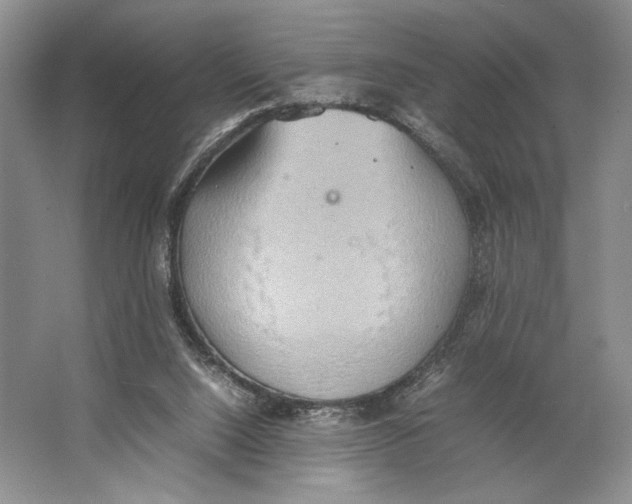 X0000064040064200602171655