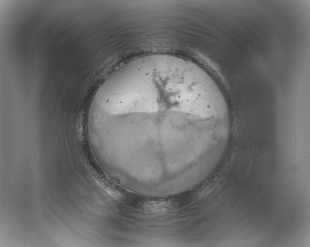 X0000064040065200602171655